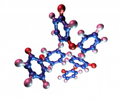 Investigadores reconstruyen por primera vez el epigenoma de un Neandertal