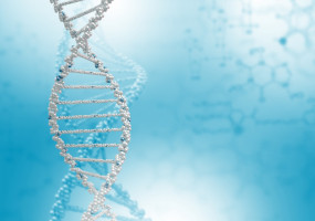 Un gallego descubre una nueva causa de la formación de tumores