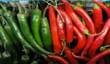 Spicy chemical may inhibit colorectal tumours