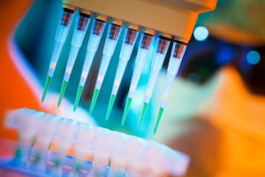 Descubierto un derivado de la vitamina B3 que previene el cáncer de hígado en ratones