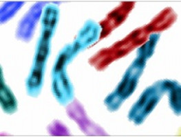 Identifican relación entre 11 variantes genéticas y el cáncer gástrico en estudio