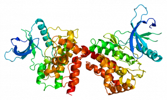 AACR 2015: Adding PI3K inhibitor BYL719 to letrozole was safe, with early signs of activity against metastatic ER-positive breast cancer