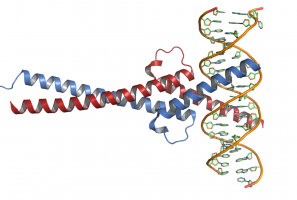 New computational tools identify alternative splicing changes in aggressive cancers