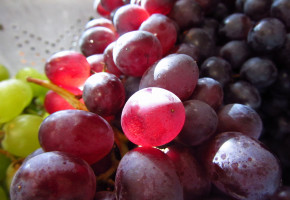 Red grape chemical may help prevent bowel cancer but less is more