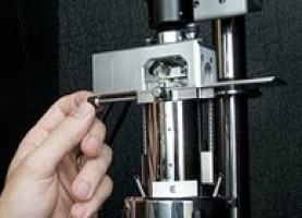 Identifican una proteína esencial para la formación de cilios