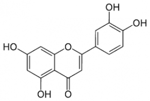 Luteolin may inhibit growth of human breast cancer cells in postmenopausal women taking hormone replacement therapy