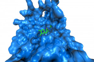 Review explores critical role of microbiome in cancer development and treatment
