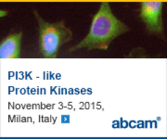 PI3K-Like Protein Kinases
