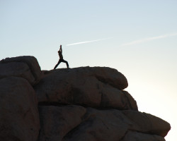 Physical activity associated with lower risk for many cancers