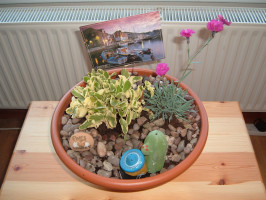 How does your garden grow? For cancer patients, small gardens could bring big benefits