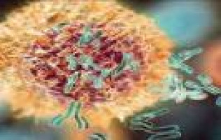 Krüppel-like factor 12 promotes colorectal cancer via early growth response protein 1