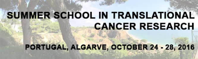 Summer school in translational cancer research