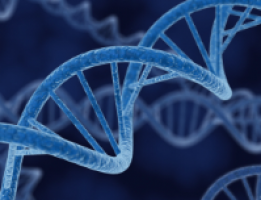 Researchers find potential target for treating metastatic cancer