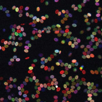 Rainbow-hued blood stem cells shed new light on cancer, blood disorders