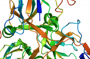 Promising results from new drug combination in patients with advanced solid tumours