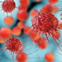 Drugs reprogram genes in breast tumours to prevent endocrine resistance