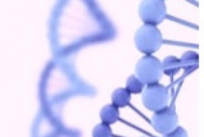 Científicos descubren estructuras ocultas en el ADN bacteriano