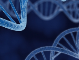 Cancer therapy gets personal