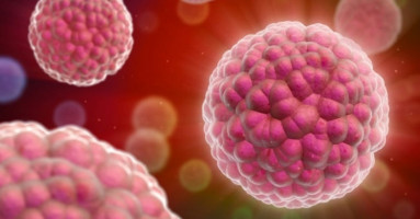 Desarrollan un dispositivo que detecta células tumorales en la sangre