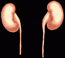 Chemotherapy after surgery halves risk of rare kidney cancer coming back