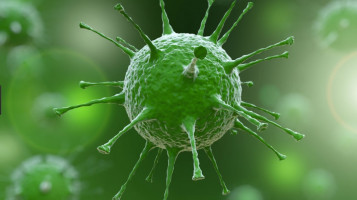 Un impulso a los virus que matan el cáncer