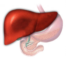 Scientists reveal herbal remedies containing aristolochic acid may cause liver cancer