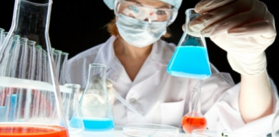 Las isoformas de la proteína HP1 regulan diferencialmente la organización y estructura de la heterocromatina