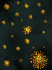 Impact of CMV on allogeneic HCT outcomes and cost-effectiveness of prophylactic therapy with letermovir