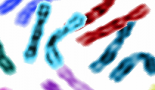Researchers identify unique immune gene signature across thousands of patients' solid tumours
