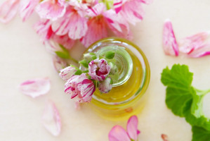 Rose geranium oil may ease common painful nasal symptoms linked to cancer treatment