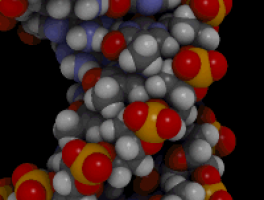 Genome sequencing of Burkitt Lymphoma reveals unique mutation