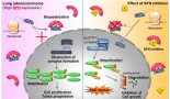 Mechanistic insights lead to drug repositioning in the treatment of lung cancer