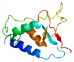 Enzyme USP15 may have potential role in future treatment of various cancers