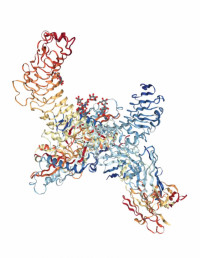 The story of GARP: a potential target for cancer immunotherapy in colorectal cancer