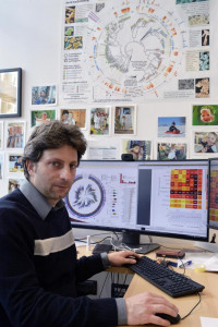 Global microbial signatures for colorectal cancer established