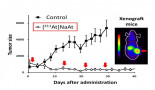 Breakthrough alpha-ray treatment of cancer without external radiation
