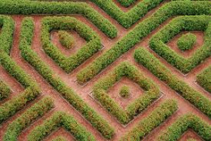 Leukocytes use their nucleus as a ruler to choose path of least resistance