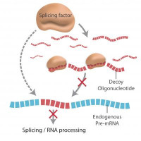 Scientists get sly, use deception to fight cancer