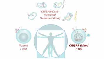 Not all cancer mutations are equal: Mutation strength in a single gene shapes tumour behaviour