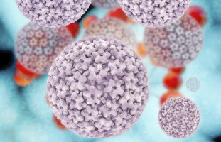 Single HPV vaccine dose may be effective against cervical cancer