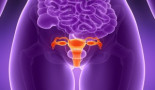 Gynaecological cancers in the era of fertility preservation: old problems, novel approaches