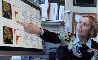 Genome-wide pattern found in tumours from brain cancer patients predicts life expectancy