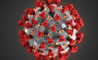 ASCO 2020: Los primeros datos muestran que la progresión del cáncer está asociada con un mayor riesgo de muerte en pacientes con COVID-19