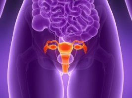 ASCO 2020: El cediranib y el olaparib combinados presentan una actividad similar a la del tratamiento estándar de atención