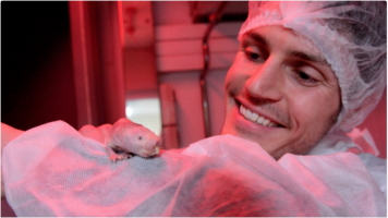 First genetically engineered cancer model in naked mole rats developed