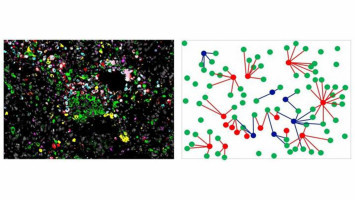 Ensamblaje dentro del centro tumoral