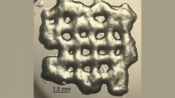 Nuevos hidrogeles para el crecimiento de células T para ser usados en la inmunoterapia del cáncer