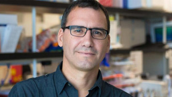 Scientists kill cancer cells by 'shutting the door' to the nucleus