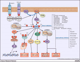 Los investigadores de Moffitt descubren moléculas específicas que favorecen la progresión del cáncer