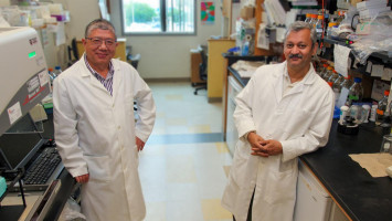 Cervical cancer survival may improve by targeting senescent 'zombie' cells